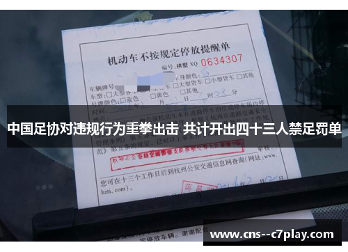 中国足协对违规行为重拳出击 共计开出四十三人禁足罚单