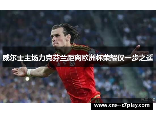 威尔士主场力克芬兰距离欧洲杯荣耀仅一步之遥 威尔士主场力克芬兰距离欧洲杯荣耀仅一步之遥
