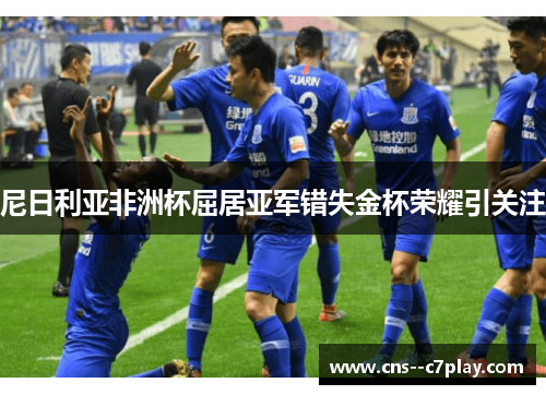尼日利亚非洲杯屈居亚军错失金杯荣耀引关注